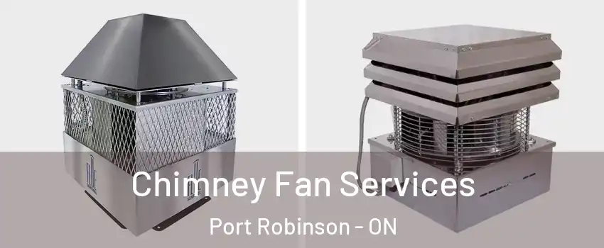  Chimney Fan Services Port Robinson - ON