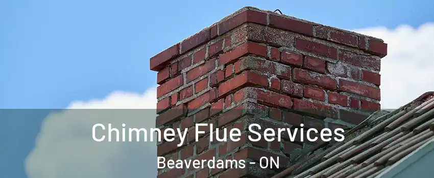  Chimney Flue Services Beaverdams - ON