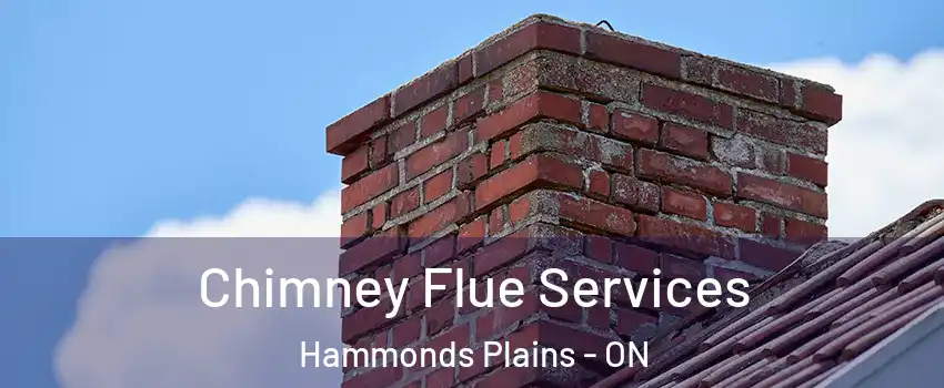  Chimney Flue Services Hammonds Plains - ON