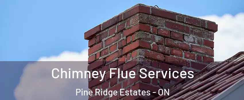  Chimney Flue Services Pine Ridge Estates - ON