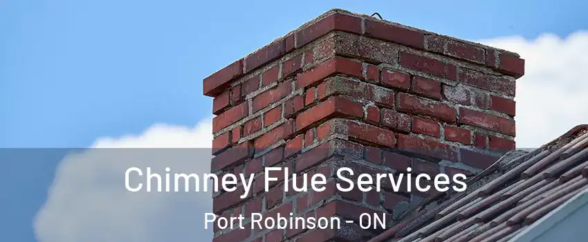  Chimney Flue Services Port Robinson - ON