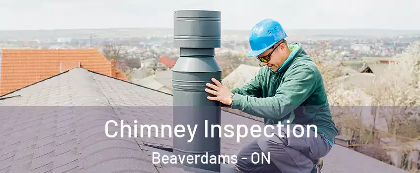 Chimney Inspection Beaverdams - ON