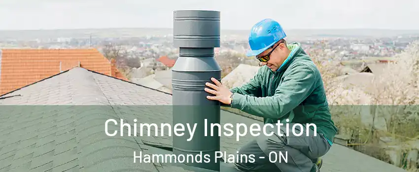  Chimney Inspection Hammonds Plains - ON