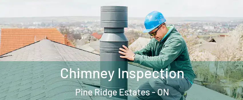  Chimney Inspection Pine Ridge Estates - ON