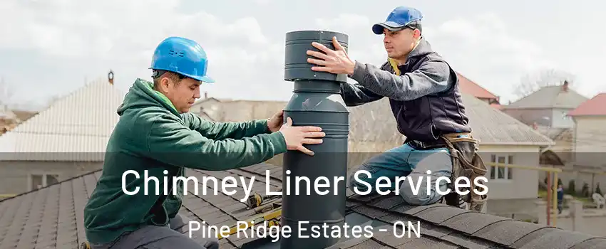  Chimney Liner Services Pine Ridge Estates - ON