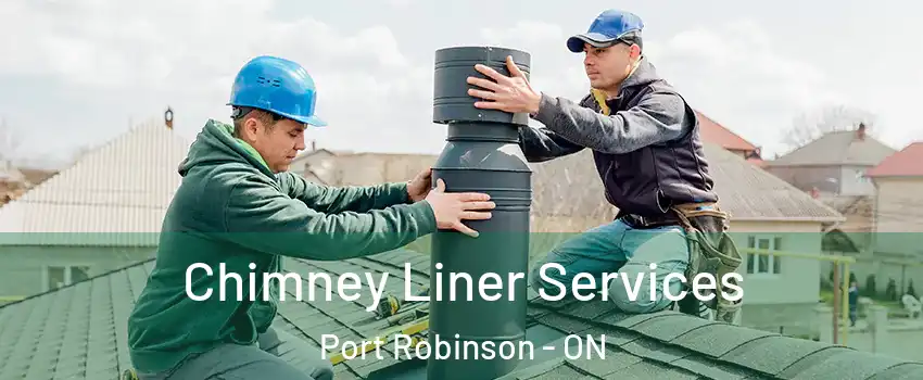  Chimney Liner Services Port Robinson - ON