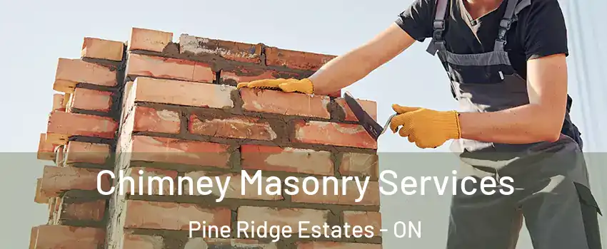  Chimney Masonry Services Pine Ridge Estates - ON