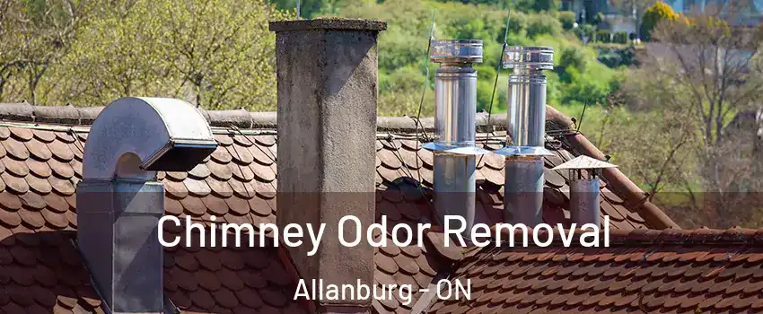  Chimney Odor Removal Allanburg - ON