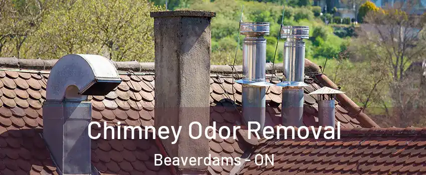  Chimney Odor Removal Beaverdams - ON