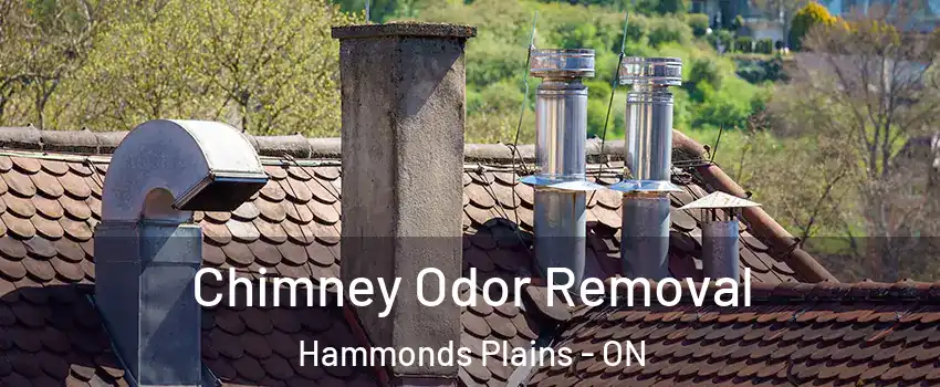  Chimney Odor Removal Hammonds Plains - ON
