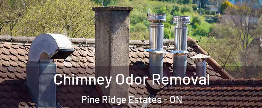  Chimney Odor Removal Pine Ridge Estates - ON