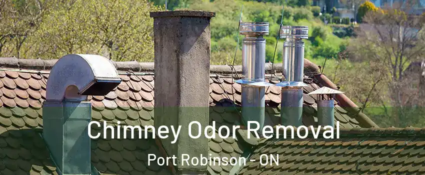  Chimney Odor Removal Port Robinson - ON