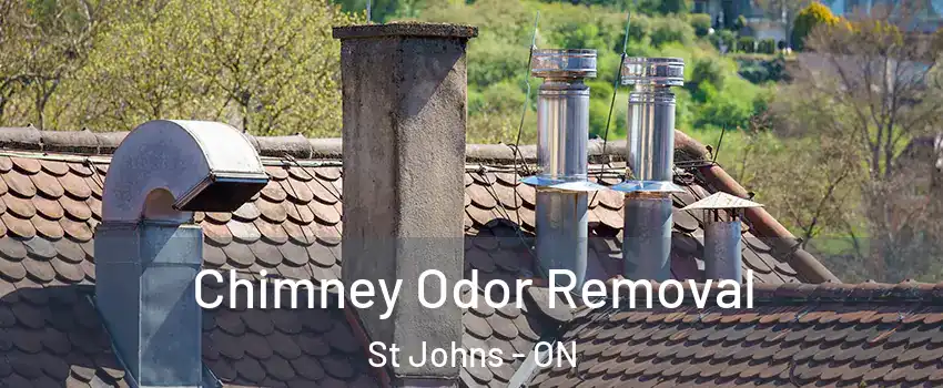  Chimney Odor Removal St Johns - ON