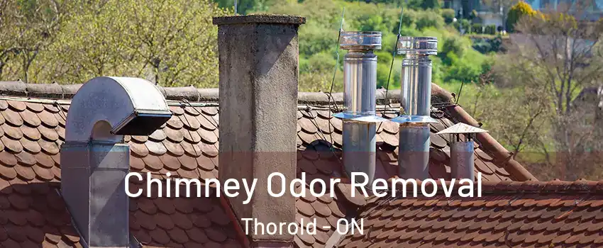  Chimney Odor Removal Thorold - ON