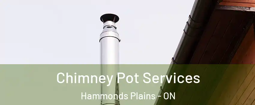  Chimney Pot Services Hammonds Plains - ON