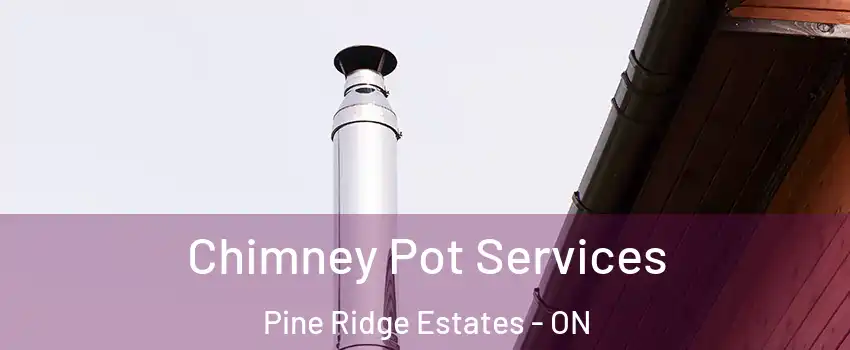  Chimney Pot Services Pine Ridge Estates - ON