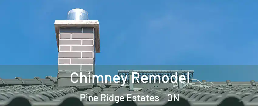  Chimney Remodel Pine Ridge Estates - ON