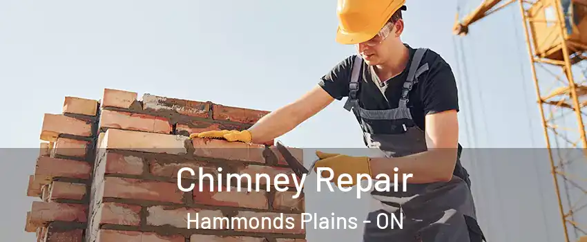  Chimney Repair Hammonds Plains - ON