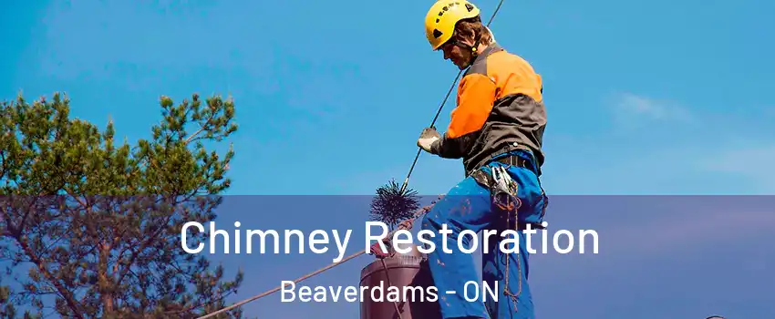  Chimney Restoration Beaverdams - ON