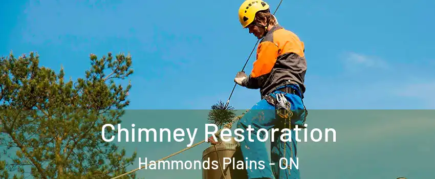  Chimney Restoration Hammonds Plains - ON