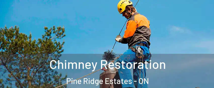  Chimney Restoration Pine Ridge Estates - ON