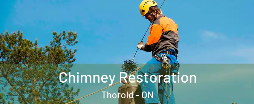  Chimney Restoration Thorold - ON
