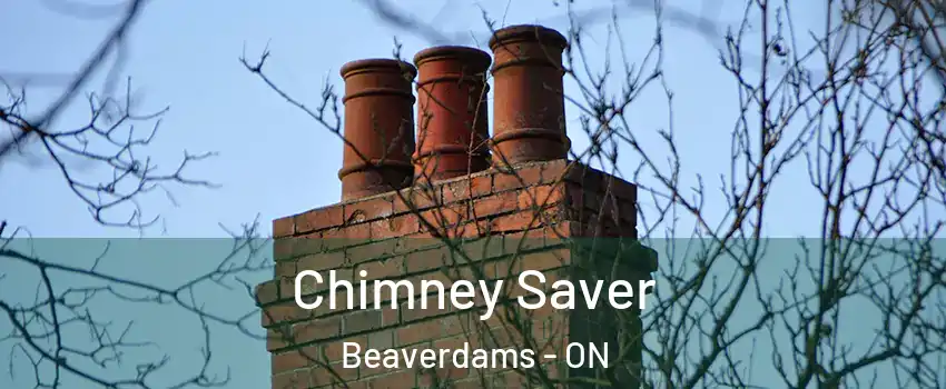  Chimney Saver Beaverdams - ON