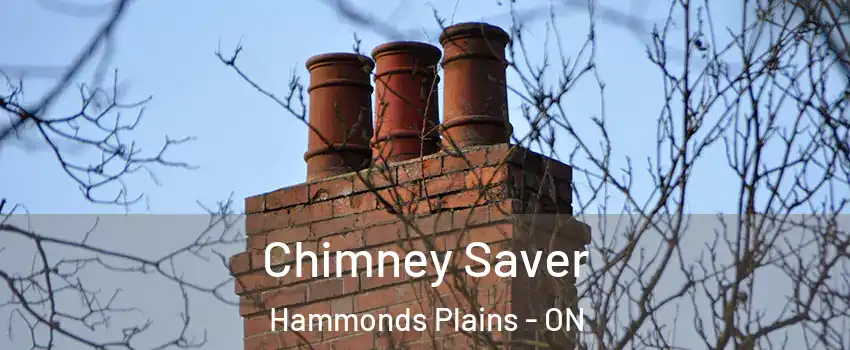  Chimney Saver Hammonds Plains - ON