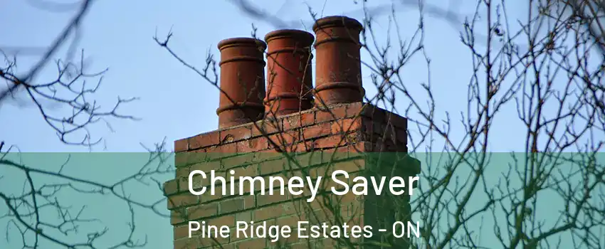  Chimney Saver Pine Ridge Estates - ON