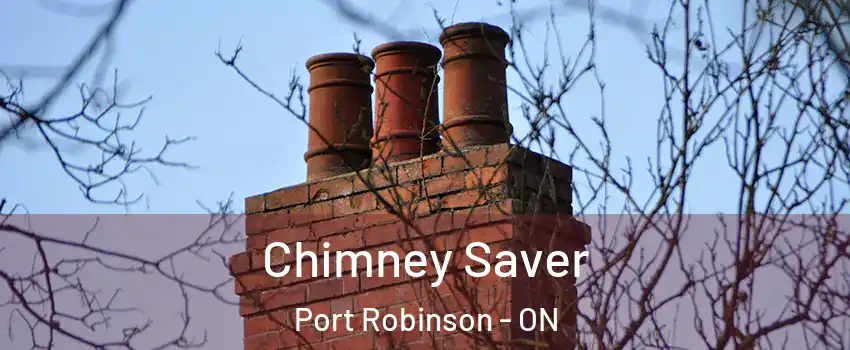  Chimney Saver Port Robinson - ON