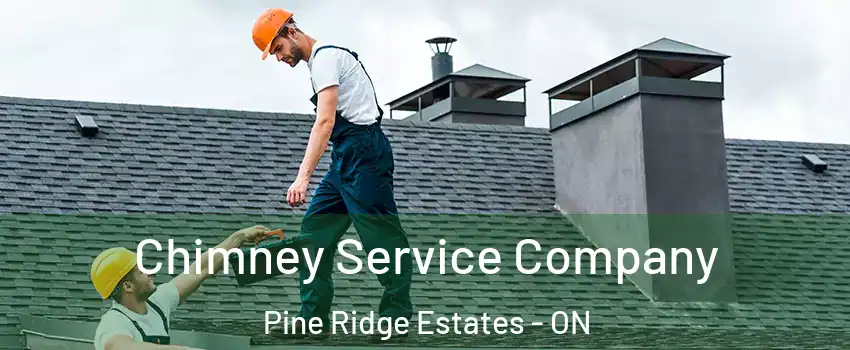  Chimney Service Company Pine Ridge Estates - ON