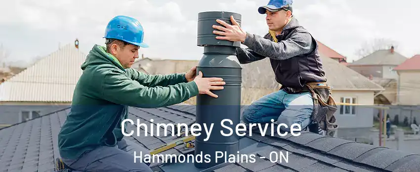  Chimney Service Hammonds Plains - ON