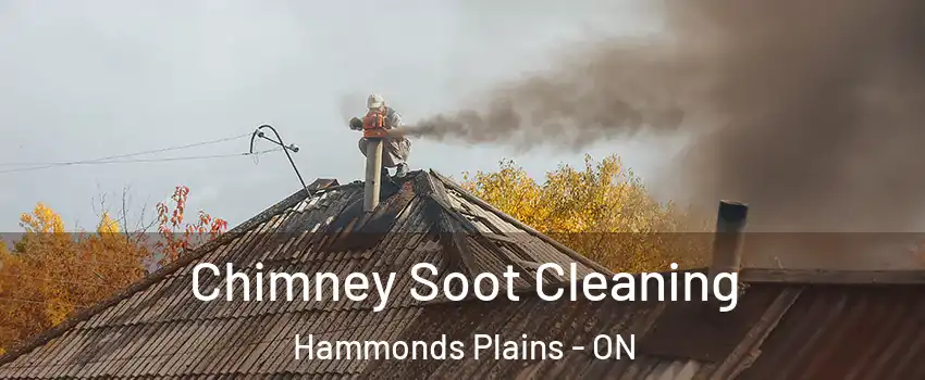  Chimney Soot Cleaning Hammonds Plains - ON