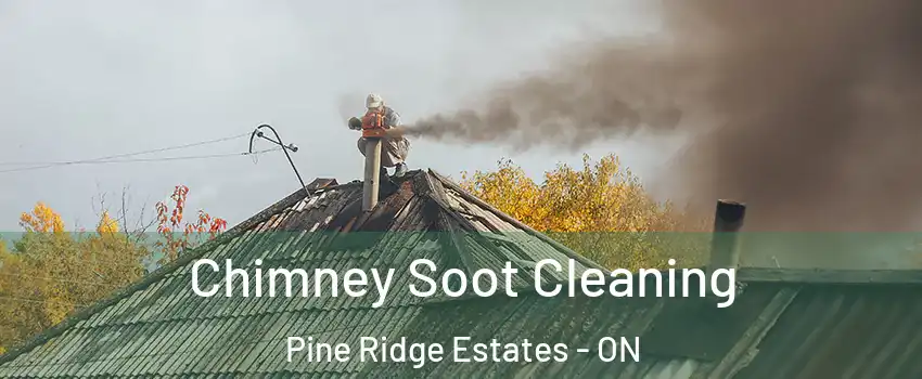  Chimney Soot Cleaning Pine Ridge Estates - ON