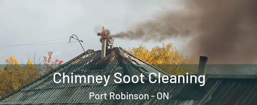  Chimney Soot Cleaning Port Robinson - ON