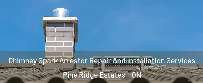  Chimney Spark Arrestor Repair And Installation Services Pine Ridge Estates - ON