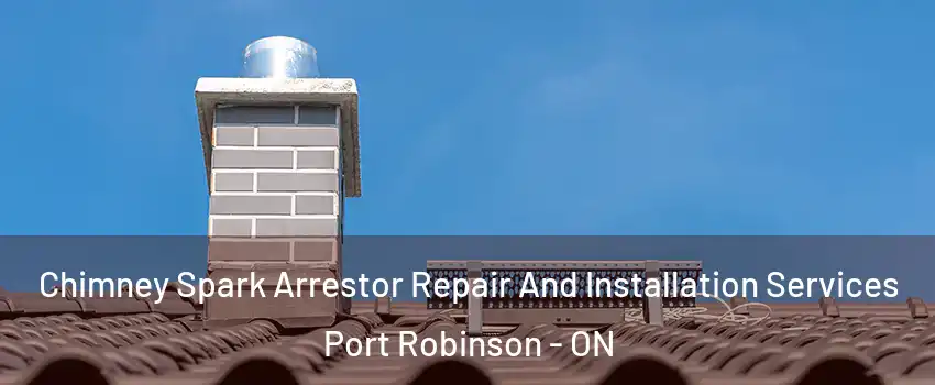  Chimney Spark Arrestor Repair And Installation Services Port Robinson - ON