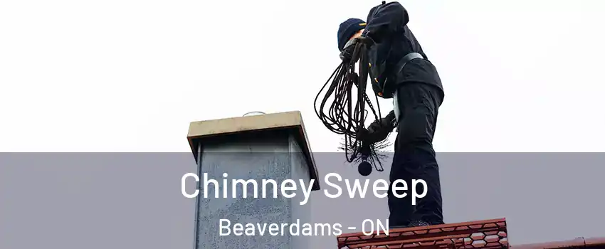  Chimney Sweep Beaverdams - ON