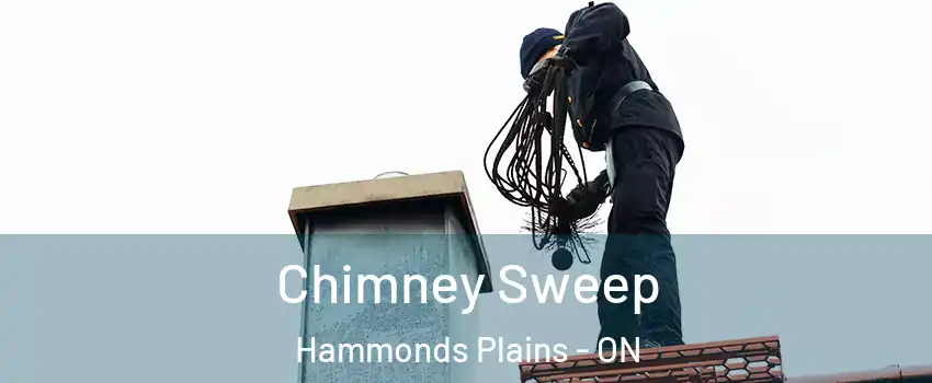  Chimney Sweep Hammonds Plains - ON