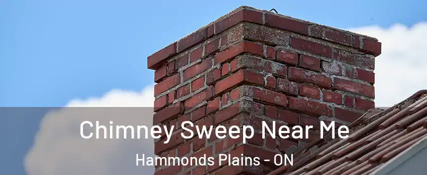  Chimney Sweep Near Me Hammonds Plains - ON