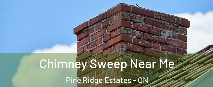  Chimney Sweep Near Me Pine Ridge Estates - ON