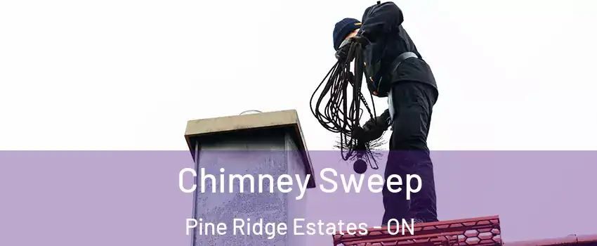 Chimney Sweep Pine Ridge Estates - ON