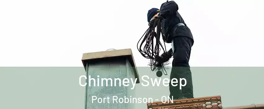  Chimney Sweep Port Robinson - ON