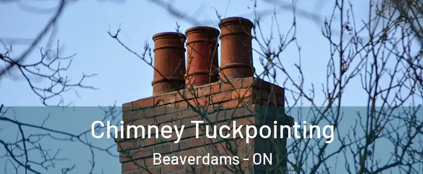  Chimney Tuckpointing Beaverdams - ON