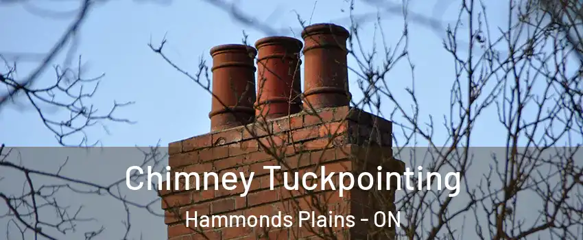  Chimney Tuckpointing Hammonds Plains - ON