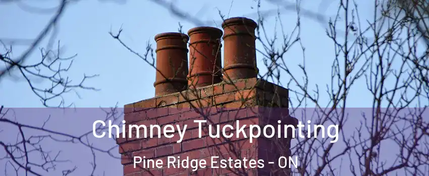  Chimney Tuckpointing Pine Ridge Estates - ON