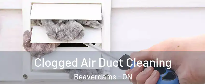  Clogged Air Duct Cleaning Beaverdams - ON