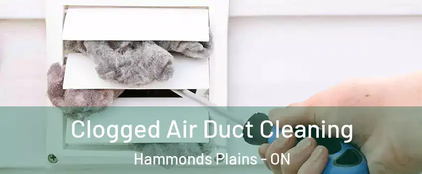  Clogged Air Duct Cleaning Hammonds Plains - ON