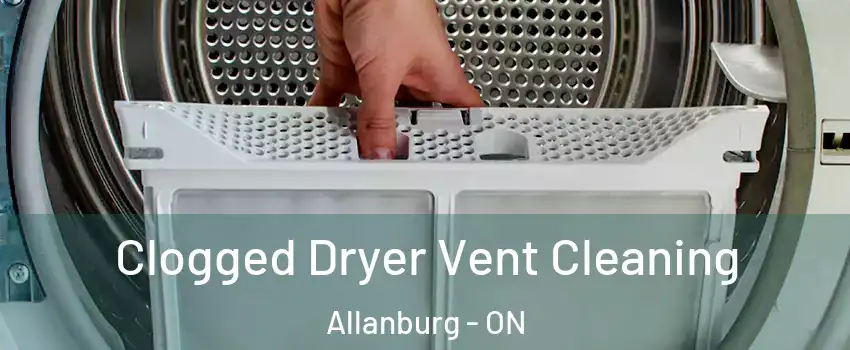  Clogged Dryer Vent Cleaning Allanburg - ON