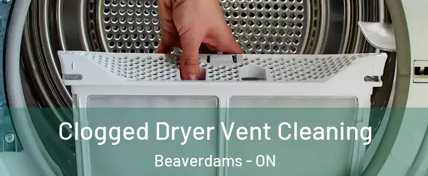  Clogged Dryer Vent Cleaning Beaverdams - ON